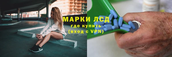соль ск Богданович