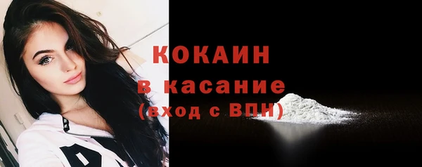 соль ск Богданович