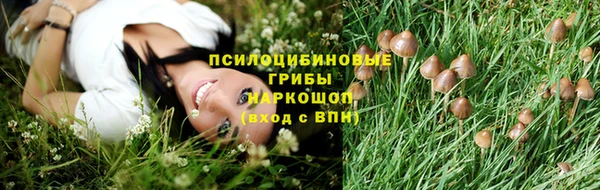 каннабис Анжеро-Судженск