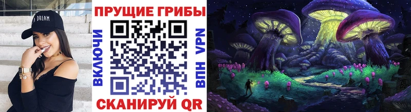 Галлюциногенные грибы Psilocybine cubensis  kraken зеркало  Вязники 